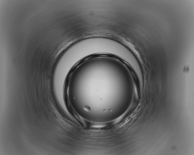 X0000091500154200708161506