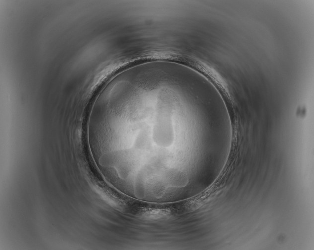 X0000091500155200708161506