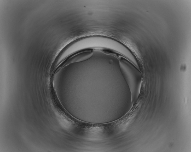 X0000091500156200708161506