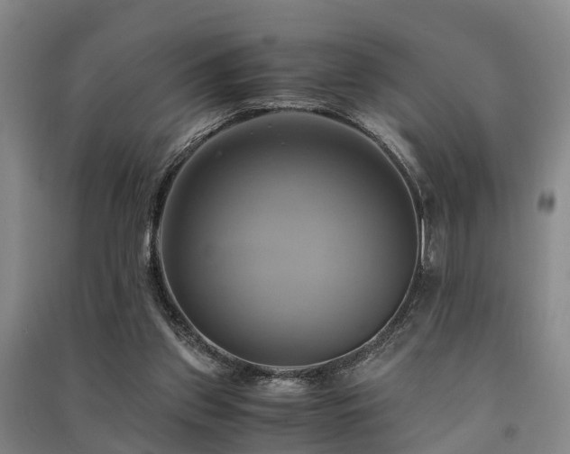 X0000091500157200708161506