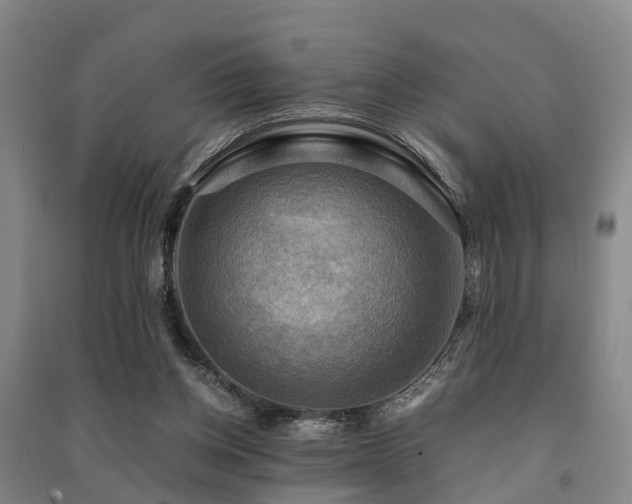 X0000091500158200708161506
