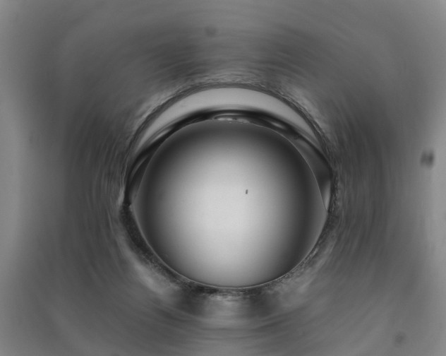 X0000091500164200708161506