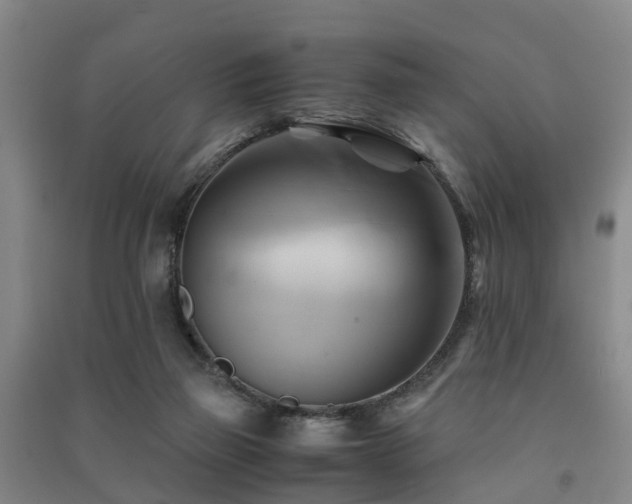 X0000091500165200708161506