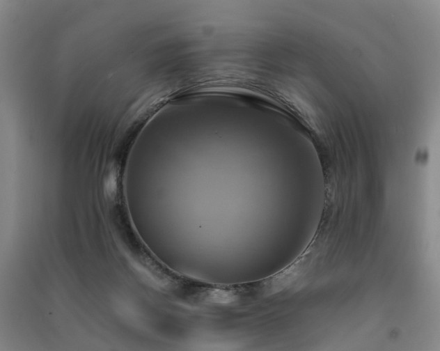 X0000091500166200708161506
