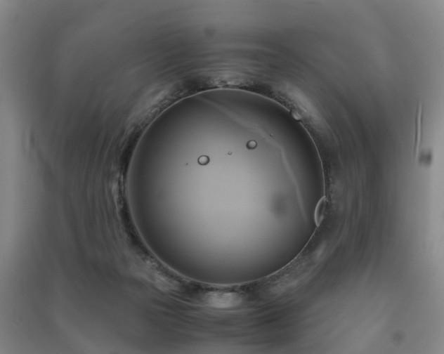 X0000091500169200708161506