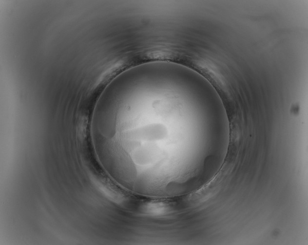 X0000091500171200708161506