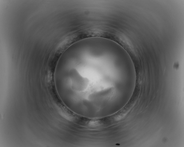 X0000091500173200708161506