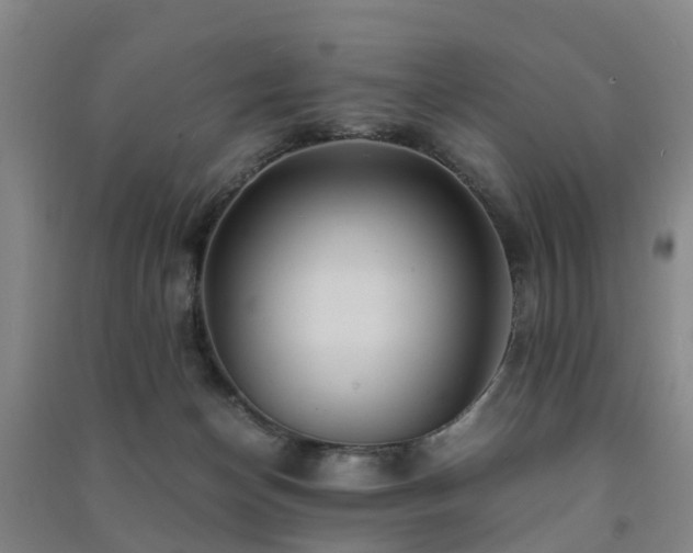 X0000091500174200708161506