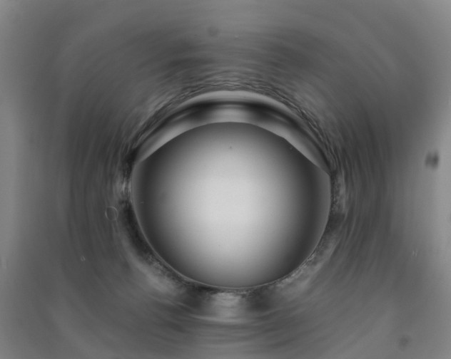 X0000091500176200708161506