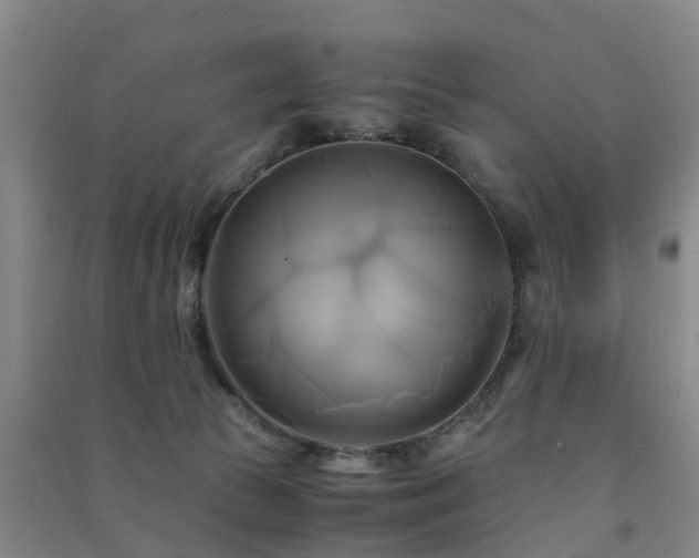 X0000091500177200708161506