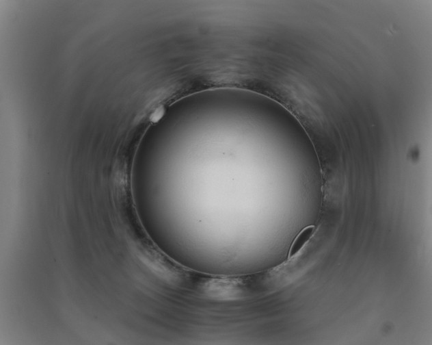 X0000091500179200708161506