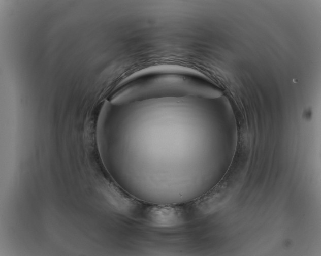 X0000091500181200708161506