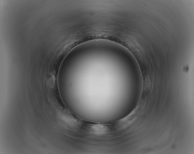 X0000091500183200708161506