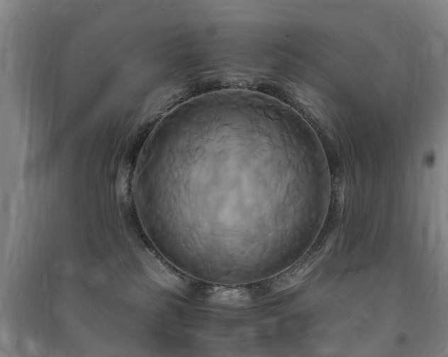 X0000091500185200708161506