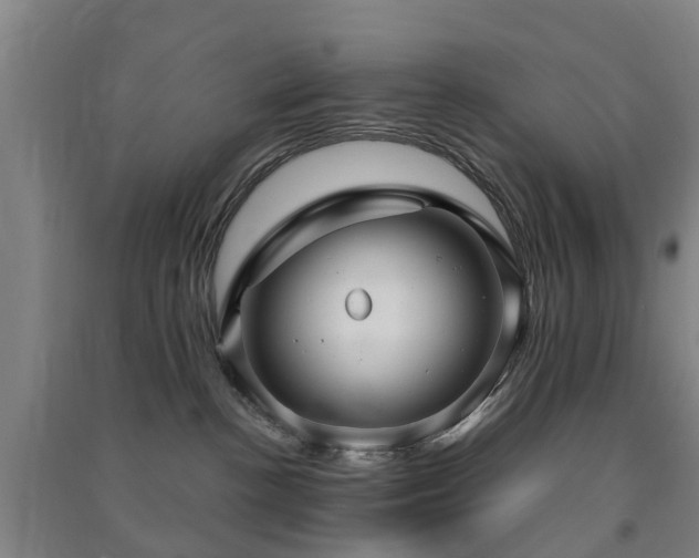 X0000091500188200708161506