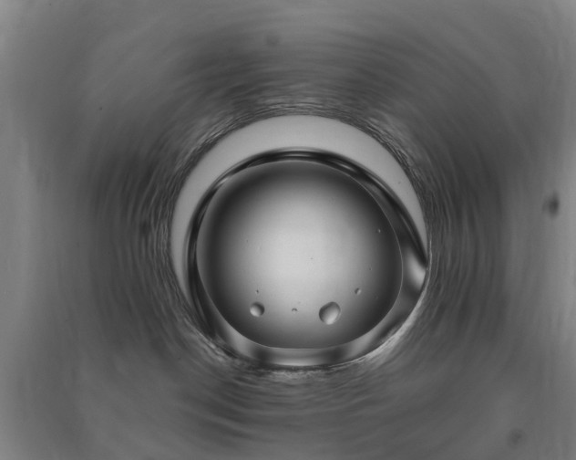 X0000091500190200708161506