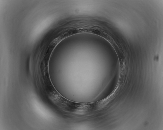 X0000091500191200708161506