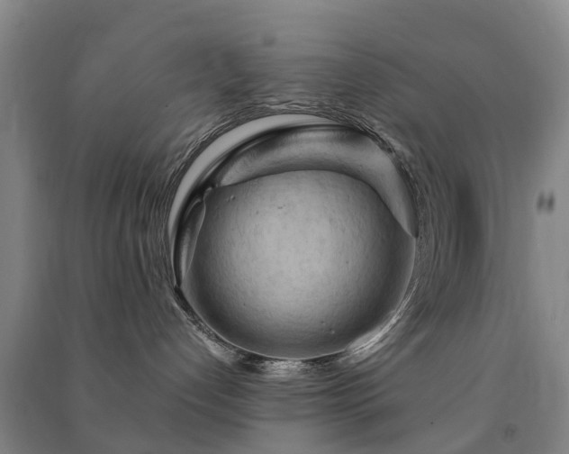 X0000091500192200708161506