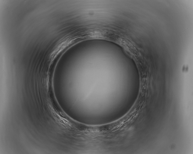 X0000091500194200708161505