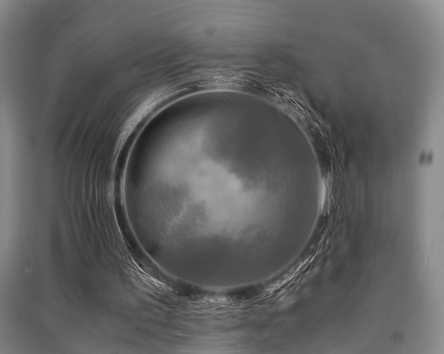 X0000091500195200708161505