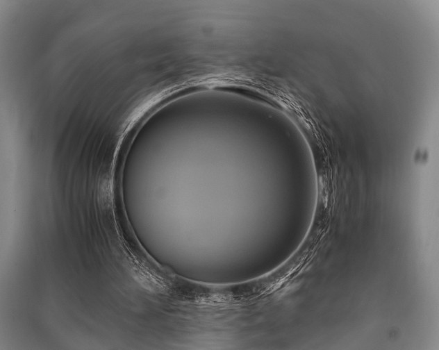 X0000091500196200708161505