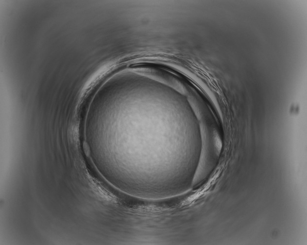 X0000091500197200708161505