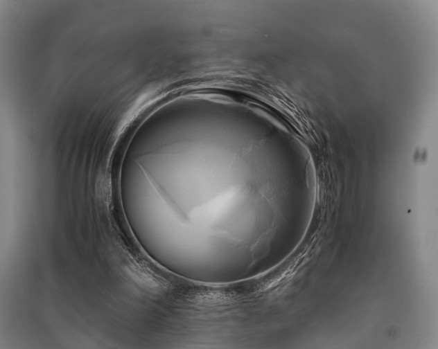 X0000091500198200708161505