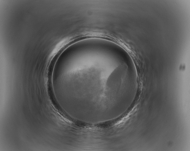 X0000091500199200708161505