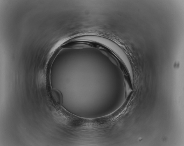 X0000091500200200708161505