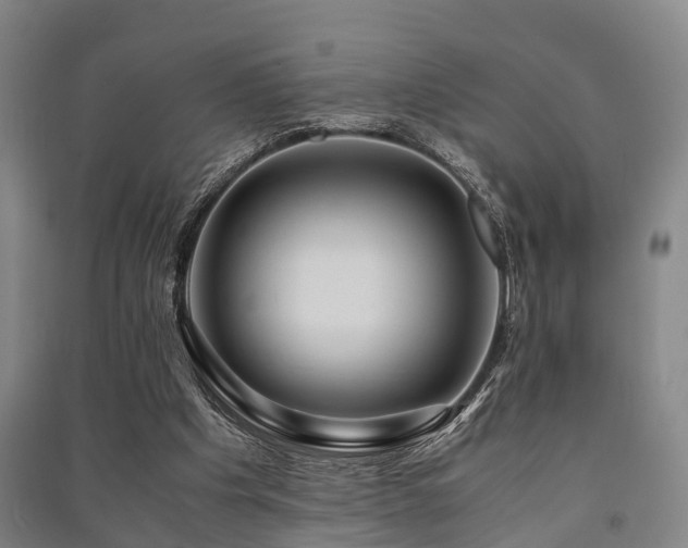 X0000091500201200708161505