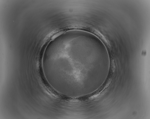 X0000091500203200708161505