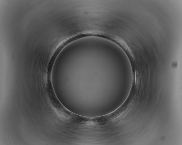 X0000091500204200708161505