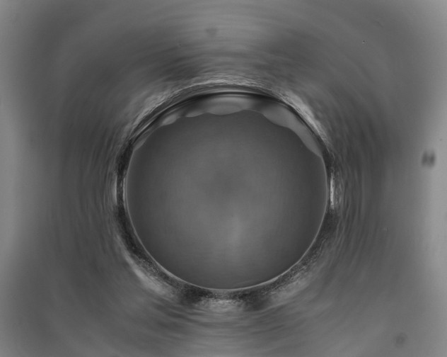 X0000091500205200708161505