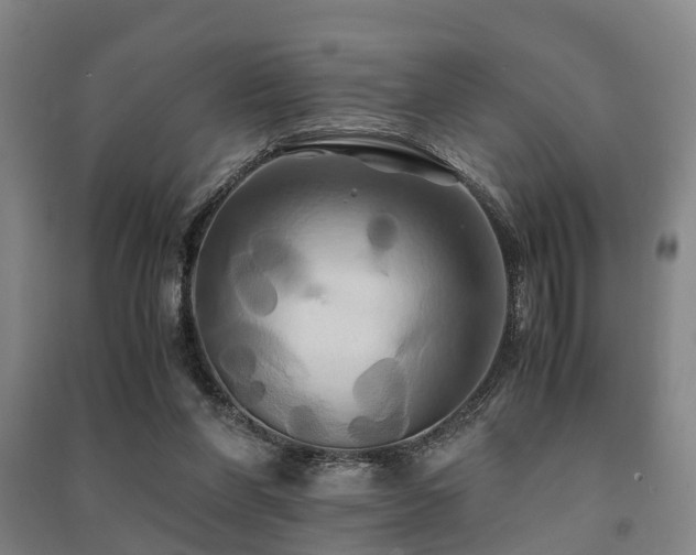 X0000091500206200708161505