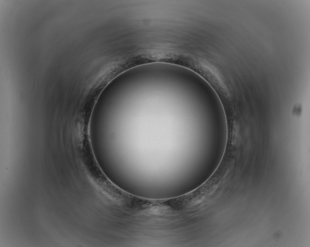 X0000091500210200708161505