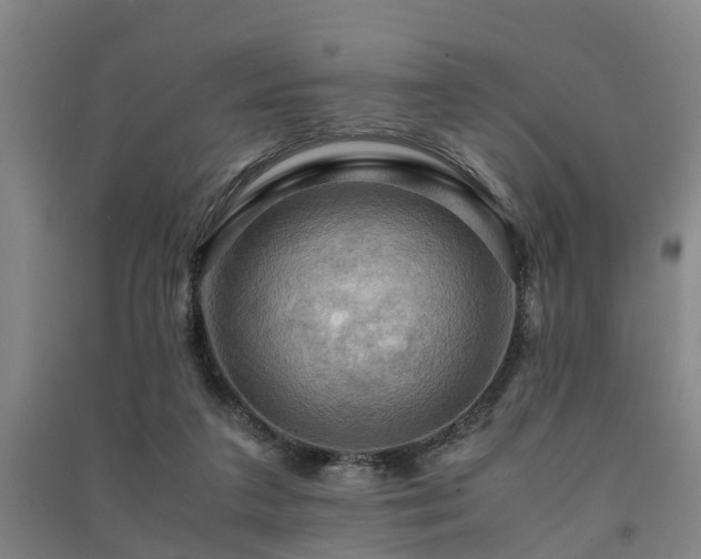 X0000091500211200708161505