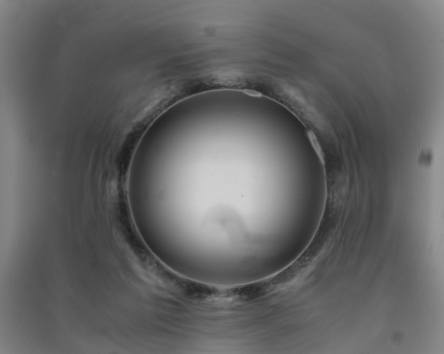 X0000091500213200708161505