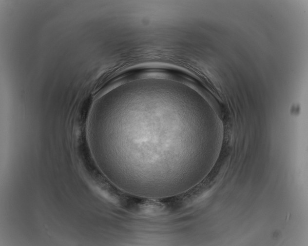 X0000091500215200708161505