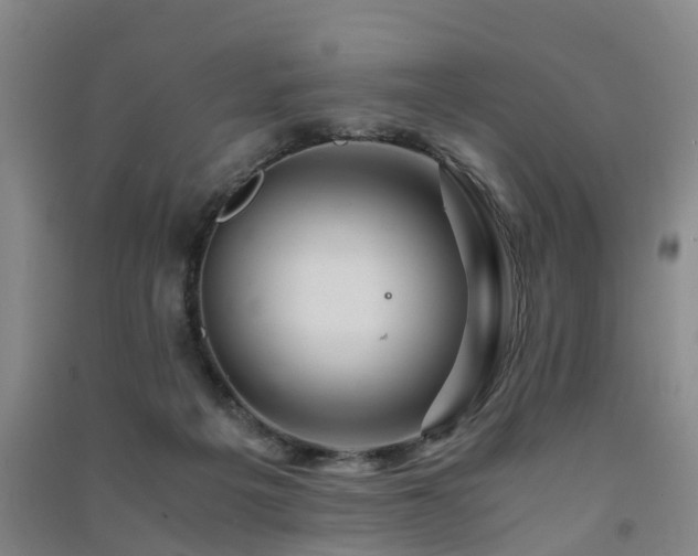 X0000091500217200708161505