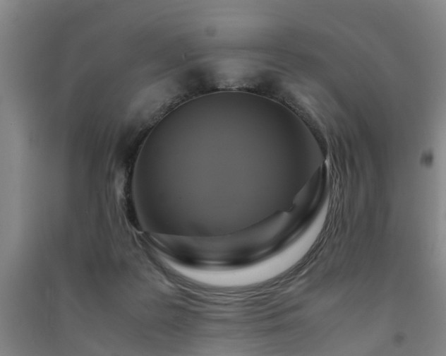 X0000091500219200708161505