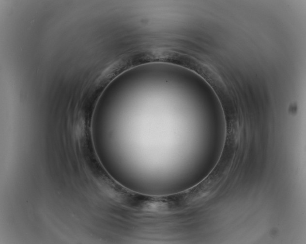 X0000091500220200708161505