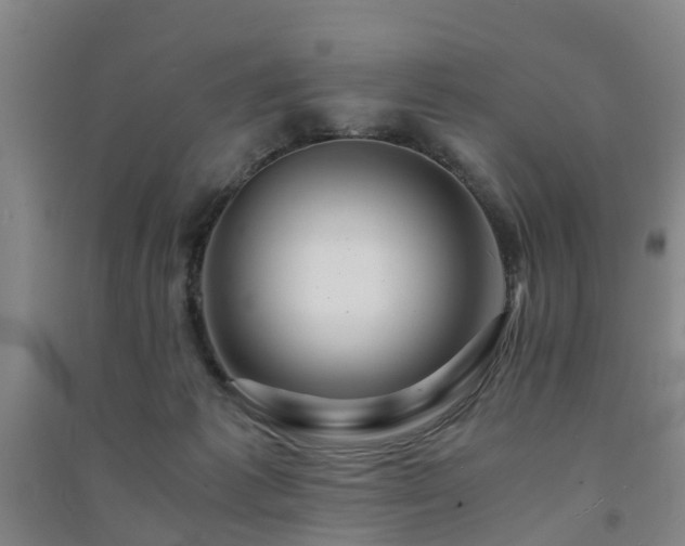 X0000091500221200708161505