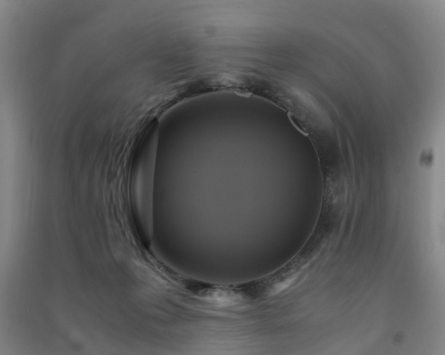 X0000091500223200708161505