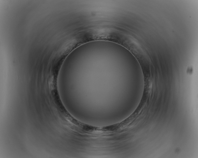 X0000091500224200708161505