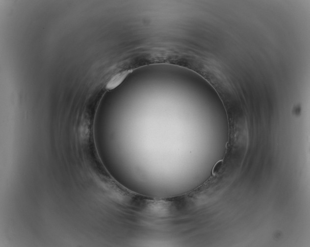 X0000091500226200708161505