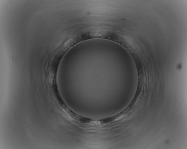 X0000091500227200708161505