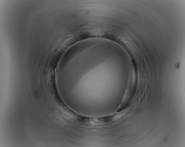 X0000091500229200708161505
