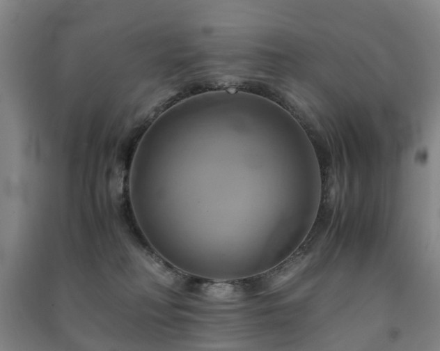 X0000091500230200708161505