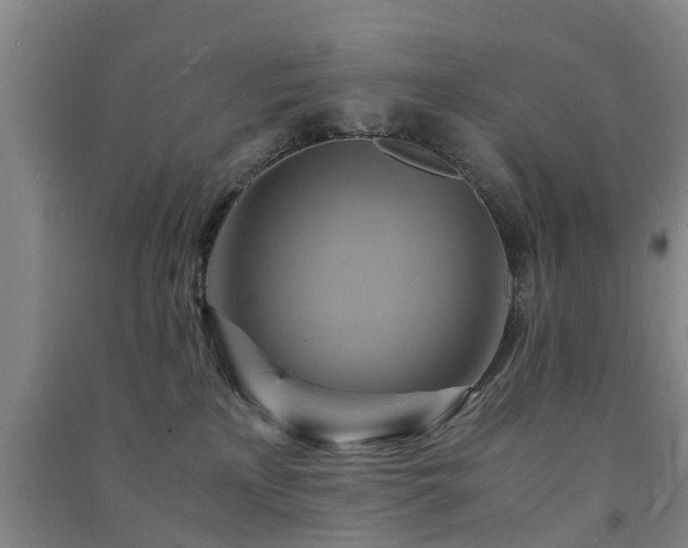 X0000091500233200708161505