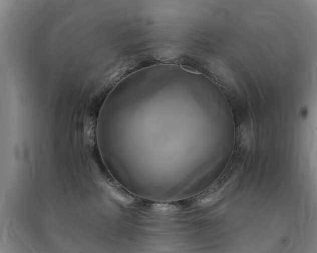 X0000091500234200708161505